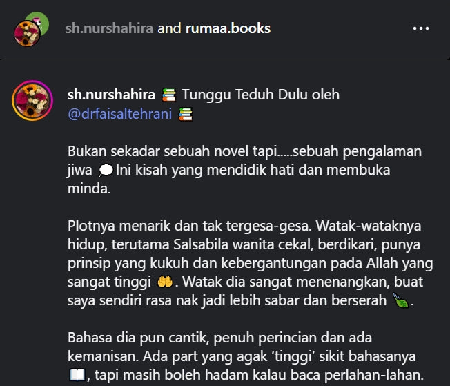 Iman Publication Book Tunggu Teduh Dulu by Faisal Tehrani 101041