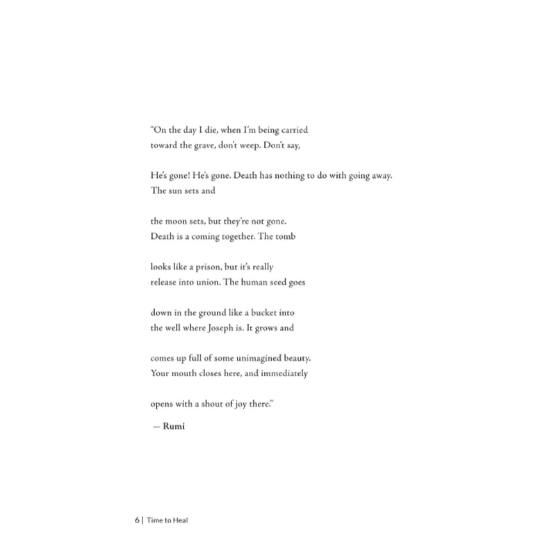 Time to Heal: A Novel by Norhafsah Hamid