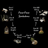 Memasang Sayap Yang Patah by JIWA