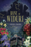 PTS Bookcafe Book Bane of Widuri by Nadiah Zakaria 100895