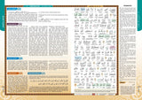 Karya Bestari Al- Quran Al-Quran Al-Karim Amazing Edisi Baharu