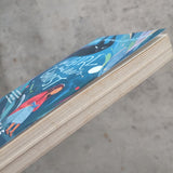 PANSING DISTRIBUTION Book (AS-IS) The Girl and The Ghost by Hanna Alkaf 2010891